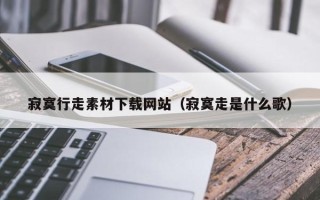 阜阳寂寞行走素材下载网站（寂寞走是什么歌）