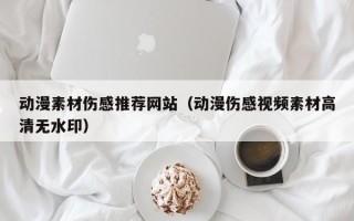 阜阳动漫素材伤感推荐网站（动漫伤感视频素材高清无水印）